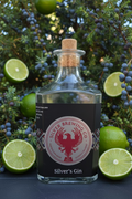 GIn - 40%